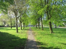 Sunny Barlick 02 020520