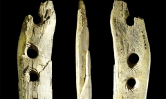 Mystery Object 769