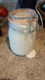 Starter Still Going Strong (5 weeks)