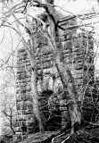 FoxClough1984