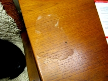 Water Stain 130620