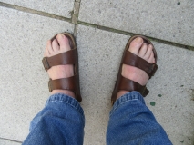 Birkenstocks June 2020