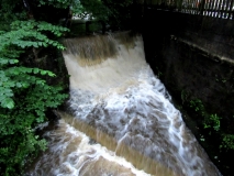 Butts Beck 290620