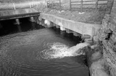 Bealcooling water529502