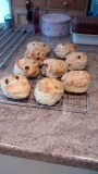 Latest batch of Sourdough Scones