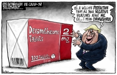 Telegraph cartoon-18-june-2020