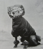 Tizer's mystery object 22/08/20