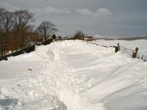 Snow Drifts Above Nelson