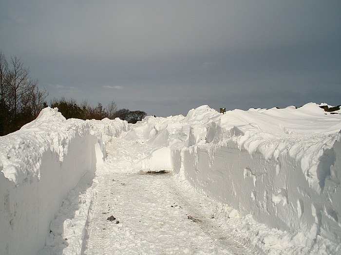Snow Drifts Above Nelson
