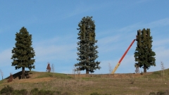 Mystery Object 818