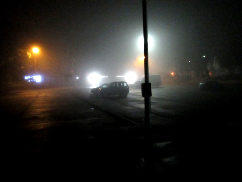 Fog 290920