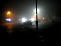 Fog 290920
