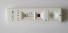 Tizer's covid antibody test, 28/10/20 5