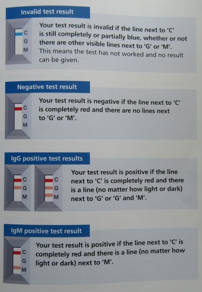 Tizer's covid antibody test, 28/10/20 6