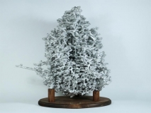 Mystery Object 838