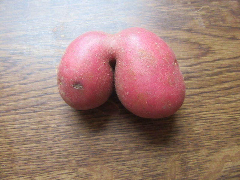 Strange spud