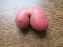 Strange spud