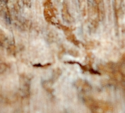 MYSTERY OBJECT 241