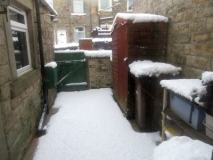 Snow 02 020121