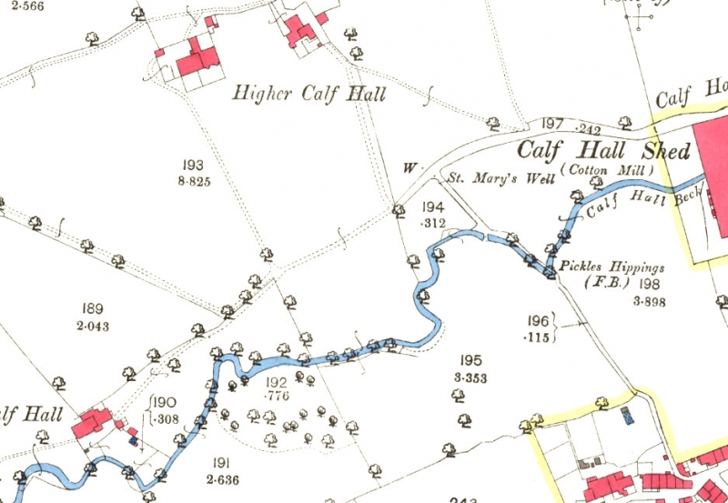 St Mary's Well  1892 OS