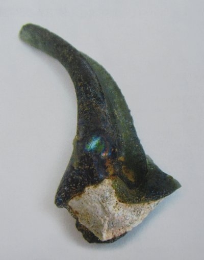 Tizer's mystery object 15/01/21