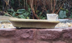 Bird_bath_ice_1