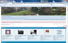 Gallery Search