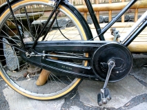 Raleigh chain guard.