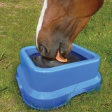 Horslyx