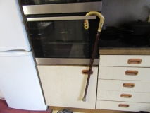 Walking stick 260321
