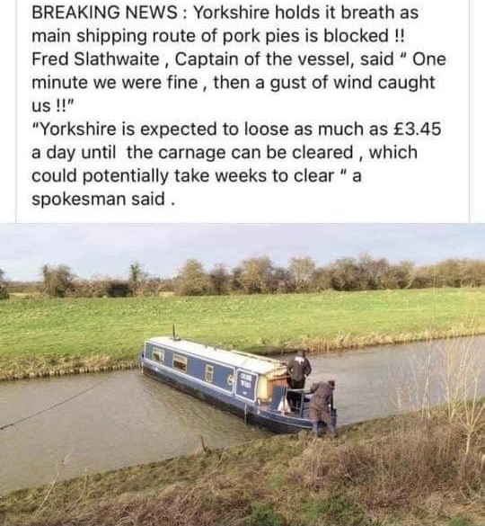 pies