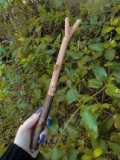 Mystery Object 914