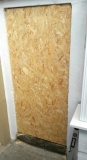 Back Door 1
