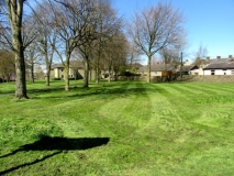 Grass Cutting  01 220421