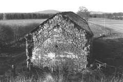EnlargedbarnMossband777401