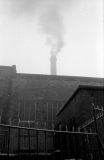 BancroftDamfrost771009