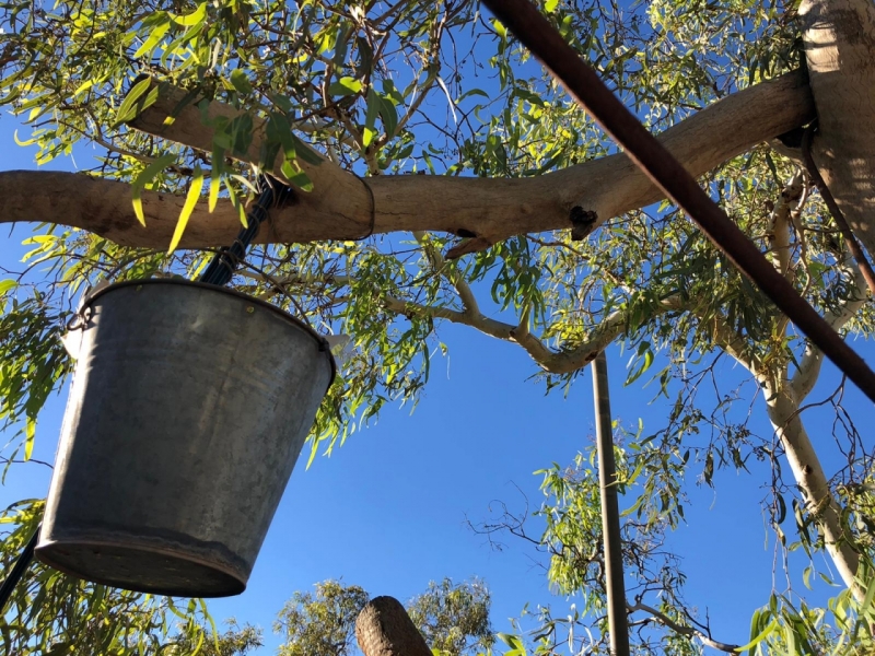 Bush shower