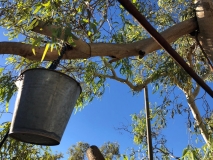 Bush shower