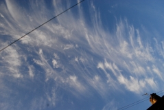 Mare's tail cloud 110521