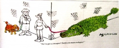 PE cartoon
