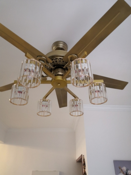 diningroomlightandfan