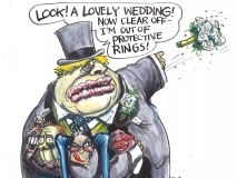 WeddingProtectiveRings cartoon