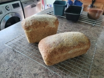 Chia and Sunflower Seed Loaves