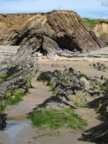 Bude - folded rocks