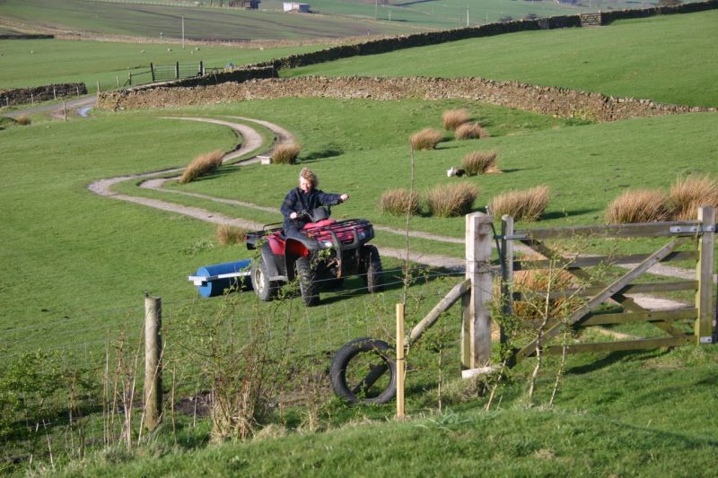 A bit of grass management