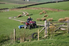 A bit of grass management