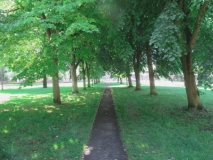 The Green 280621