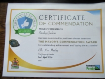 Mayor's commendation 2020.