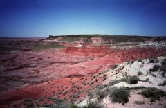 BadlandsPainteddesert981104