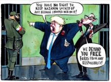 Johnson Cartoon
